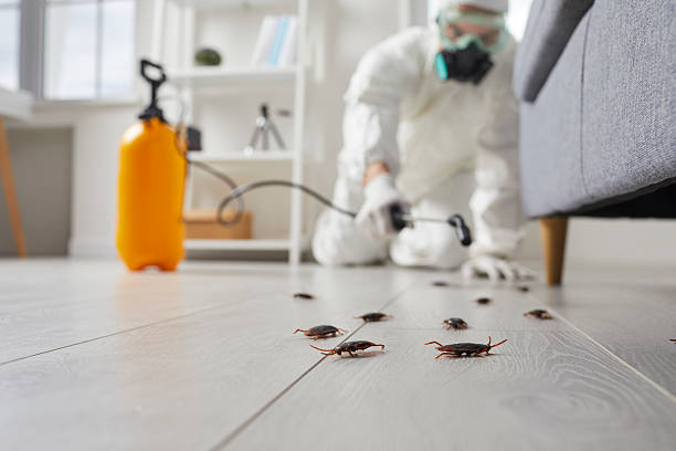 Trusted Ant Control service in Crawfordsville, IN - Nex Pest Control